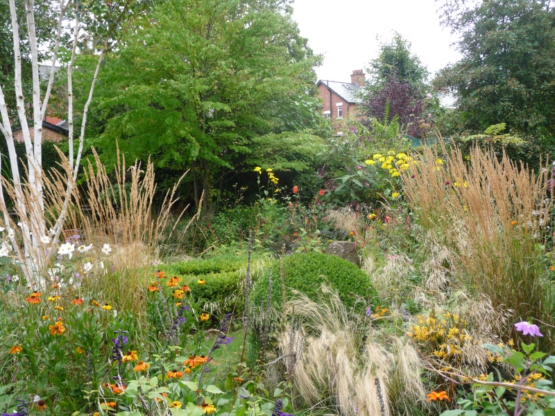 Adrian Walsh Belfast Garden